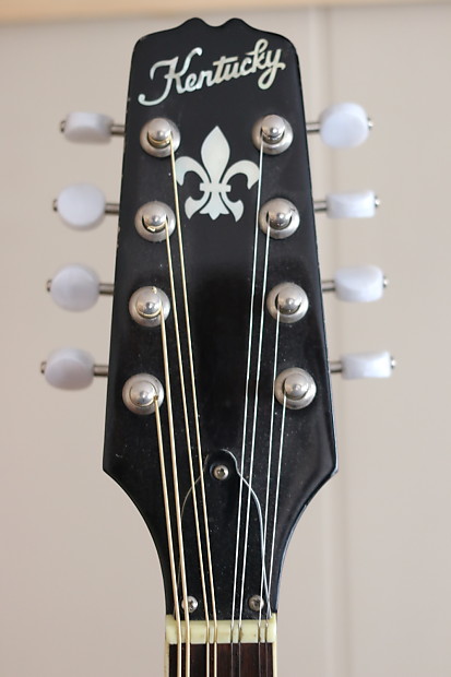 kentucky mandolin serial numbers